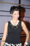 Hamsa Nandini New Stills - 15 of 61