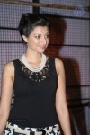 Hamsa Nandini New Stills - 46 of 61