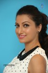 Hamsa Nandini Pics - 20 of 54