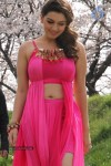 Hansika Latest Hot Stills - 16 of 42