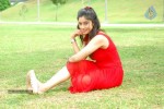 Harika New Gallery - 64 of 65