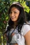 Haripriya Gallery - 65 of 88