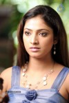 Haripriya High Resolution Stills - 44 of 51