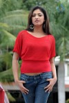 Haripriya High Resolution Stills - 51 of 51