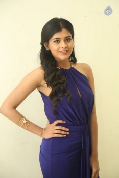 Hebah Patel Gallery - 10 of 33