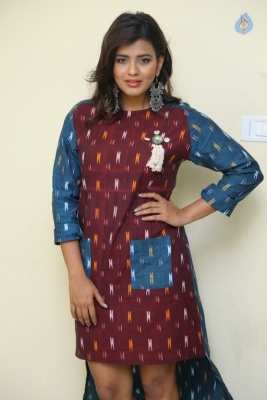 Hebah Patel Latest Gallery - 12 of 20