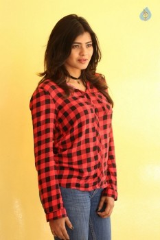 Hebah Patel Latest Photos - 17 of 42