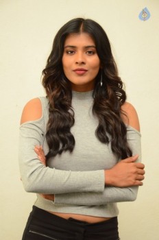 Hebah Patel New Photos - 16 of 42