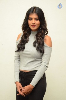 Hebah Patel New Photos - 19 of 42