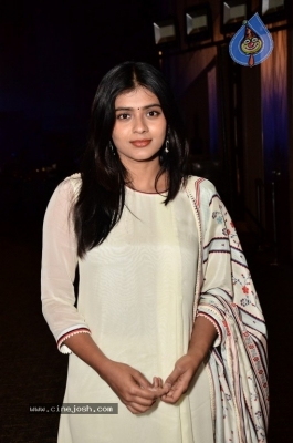 Hebah Patel Photos - 3 of 31