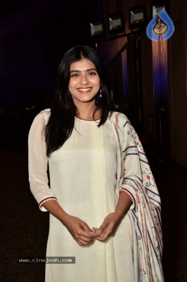 Hebah Patel Photos - 5 of 31