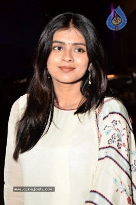 Hebah Patel Photos - 20 of 31