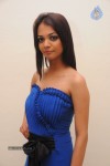 Henna Chopra Hot Photos - 44 of 59