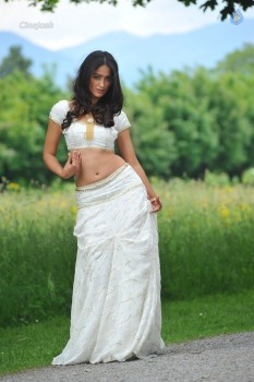 Ileana New Photos - 10 of 63