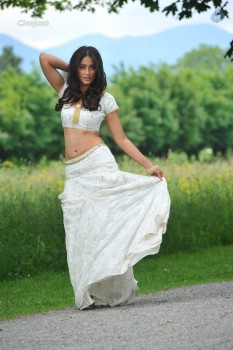 Ileana New Photos - 47 of 63