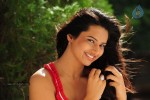 Isha Chawla Cute Photos - 62 of 86