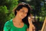 Isha Chawla New Photos - 5 of 75