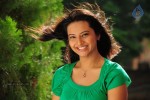 Isha Chawla New Photos - 14 of 75