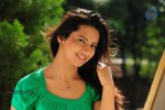 Isha Chawla New Photos - 20 of 75