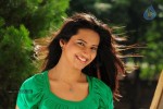 Isha Chawla New Photos - 47 of 75