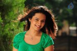 Isha Chawla New Photos - 56 of 75