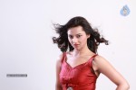 Isha Chawla Photo Shoot - 53 of 69