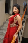 Jiya Hot Photos - 15 of 67