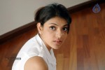 Kajal Agarwal Actress Gallery - 46 of 47