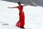 Kajal Agarwal New Gallery - 15 of 68