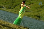 Kajal Agarwal New Gallery - 50 of 68