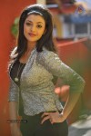 Kajal Agarwal New Gallery - 1 of 56