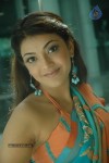 Kajal Agarwal Hot Stills - 49 of 63