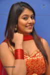 Kavya Kumar Stills - 62 of 110