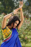 Kavya Singh New Gallery - 17 of 57