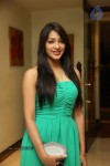 Kesha Khambhati Hot Stills - 5 of 98