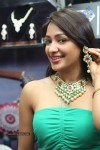 Kesha Khambhati Hot Stills - 17 of 98