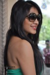 Kesha Khambhati Hot Stills - 43 of 98