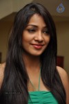 Kesha Khambhati Hot Stills - 63 of 98