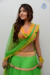 Komal Jha Hot Pics - 4 of 84