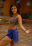 Kousha Hot Stills - 2 of 10