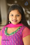 Lakshmi Priya New Photos - 48 of 57