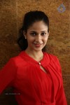 Lavanya Tripathi Latest Photos - 81 of 91