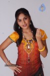 Madhavi Latha Photo Gallery - 55 of 58