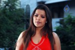 Madhu Sharma Spicy Gallery - 14 of 19