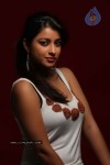 Madhurima Latest Gallery - 66 of 81