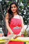 Madhurima Latest Photos - 17 of 41