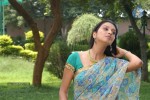 Manjulika Hot Stills - 14 of 36