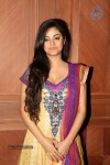 Meera Chopra Latest Stills - 11 of 74