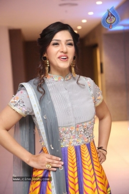 Mehreen Kaur Pirzada Gallery - 4 of 21