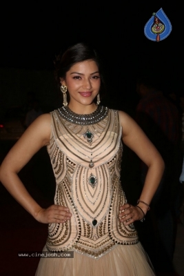 Mehrene Kaur Pirzada Gallery - 11 of 15